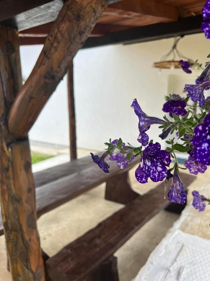 Plitvička Jezera Apartman Djak מראה חיצוני תמונה